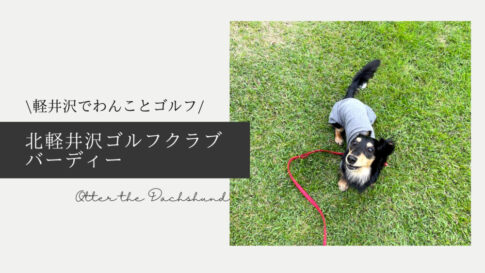 Blog Banner ブログ記事バナー 【軽井沢】わんことショートゴルフをプレイできる！北軽井沢ゴルフクラブ　バーディー